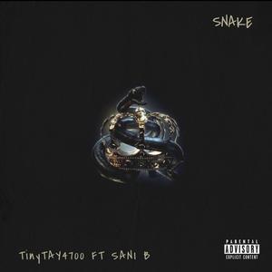 Snake (feat. Sani B) (Explicit)