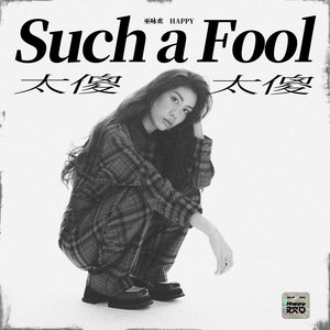 太傻太傻Such a Fool