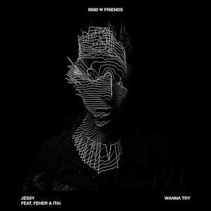 Wanna Try(feat. Feher & Itai)
