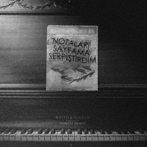 Notaları Sayfama Serpiştirdim, Pt. 3 (feat. Voltaj & Albatros) (Explicit)