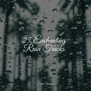 25 Enchanting Rain Tracks