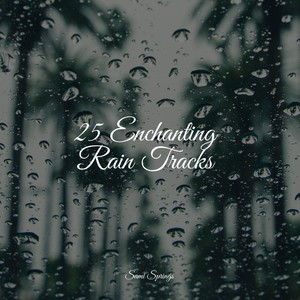 Rainy Roads