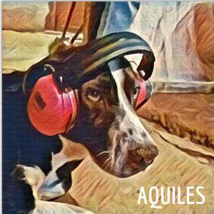 Aquiles