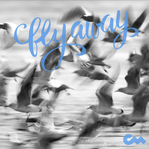 Fly Away