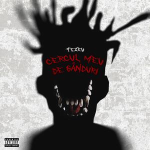 Cercul Meu De Ganduri (feat. Tezeu)