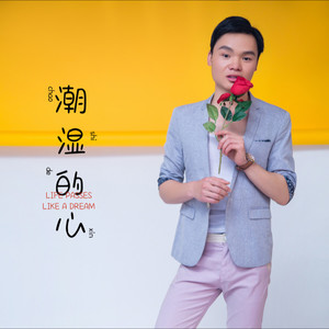 潮湿的心