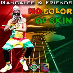 Gangalee and friends No Color of skin