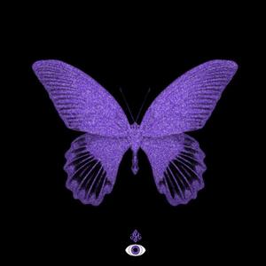 PAPILIO (Explicit)