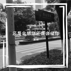 还是会想你还是会怪你