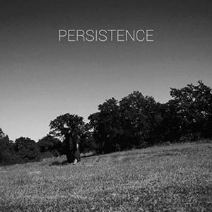 Persistence (Explicit)