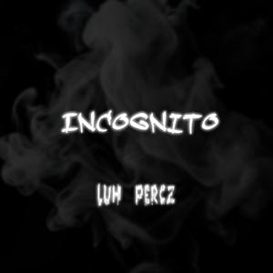 Incognito (Explicit)