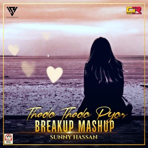 Thoda Thoda Pyar (BreakUp Mashup)