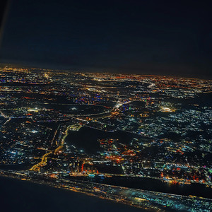 Concrete Roses From Nothing