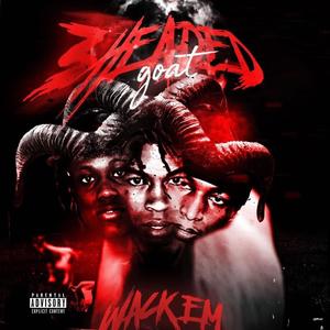 Wack Em (Explicit)