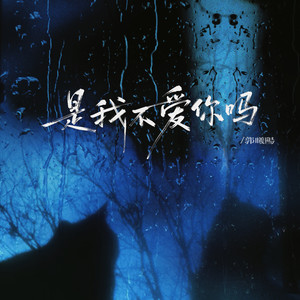 是我不爱你吗