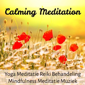 Calming Meditation - Yoga Meditatie Reiki Behandeling Mindfulness Meditatie Muziek voor Stress Vermi