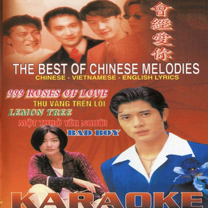 The best of Chinese melodies 4