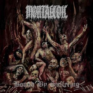 FOOL (feat. LEGALIZE HOMICIDE) (Explicit)