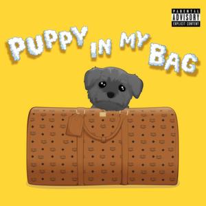 Puppy In My Bag (Explicit)