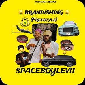 Brandishing