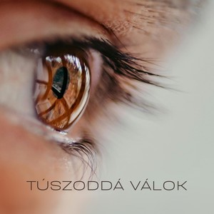 Túszoddá válok