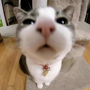 good brain :3 (feat. oafalls)