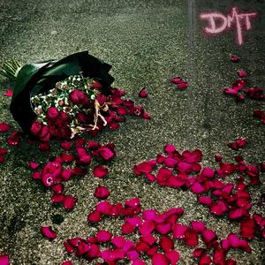DMT (Explicit)