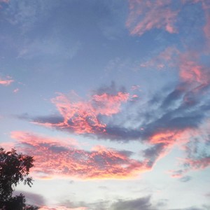 永不屈服的王子