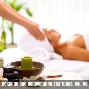 Relaxing and Rejuvenating Spa Tunes, Vol. 06