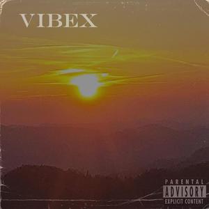 VIBEX