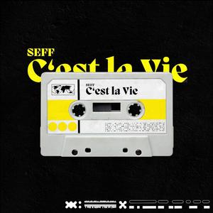 C'est la vie (Explicit)