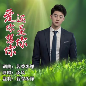 爱你想你还是你 (男版伴奏)