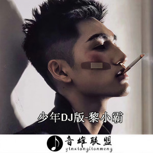 我要上头啦 (DJ版)