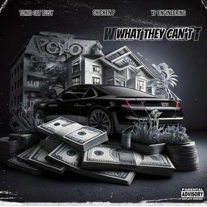 What They Cant (feat. Chicken P & YP Engineering) [Explicit]