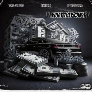 What They Cant (feat. Chicken P & YP Engineering) (Explicit)