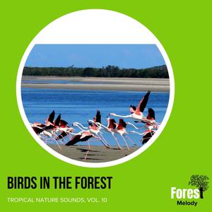 Thunder Noise to Keep Your Company