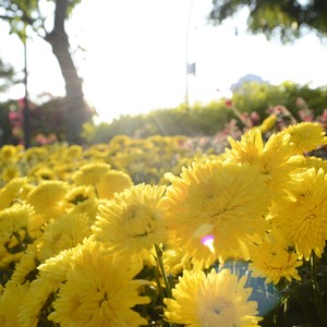 无产者团结赞歌