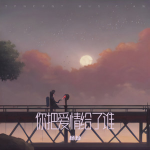 你把爱情给了谁