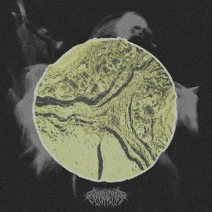 j'ai perdu mon corps (feat. Akiva Ljungström)