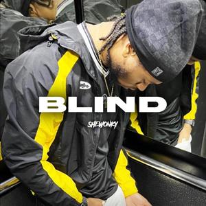 Blind (feat. shewonky)