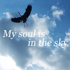 My soul is in the sky