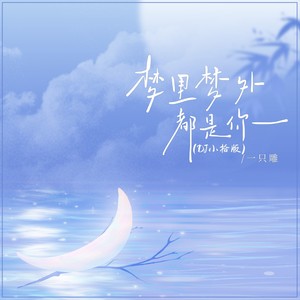 梦里梦外都是你 (DJ小拾版伴奏)