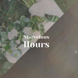 Marvelous Hours