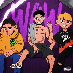 WoW (feat. Visa og & PLU) (Explicit)