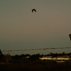 Falsa Saudade (Explicit)