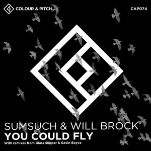 You Could Fly (Gavin Boyce Remix)