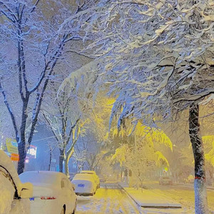 冻死在威宁街上