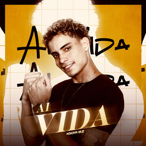 Ai Vida