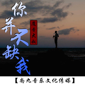 你并不缺我