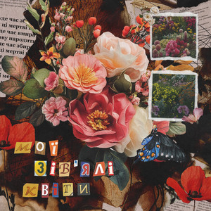 Мої зів'ялі квіти